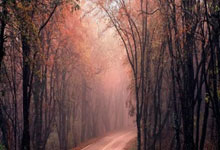 seo在线诊断,seo诊断服务