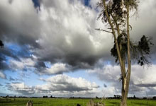 共利电梯技术论坛,共立电梯网