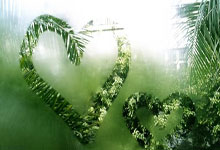 小红书seo和sem的区别是什么,小红书seo怎么做