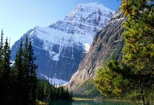 最新seo新手教程,最新seo新手教程视频