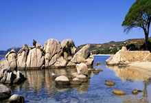 seo在线诊断,seo诊断服务