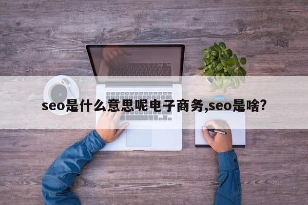 seo是什么意思呢电子商务,seo是啥?