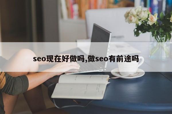 seo现在好做吗,做seo有前途吗