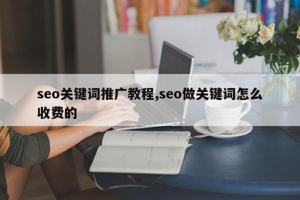 seo关键词推广教程,seo做关键词怎么收费的